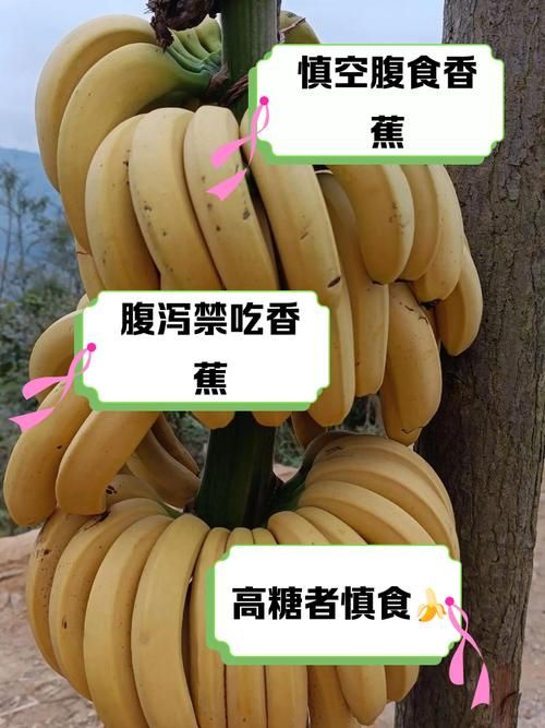 吃香蕉润肠蚂蚁庄园告诉你哪些人不适合吃香蕉