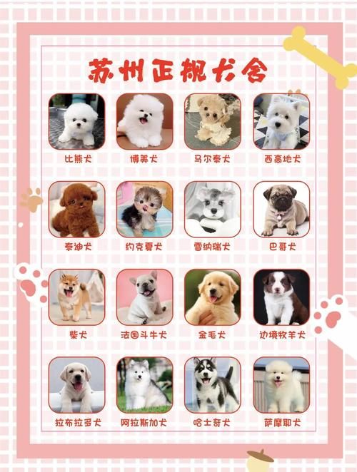 君子好逑蚂蚁庄园宠物养成 如何培养最强伙伴