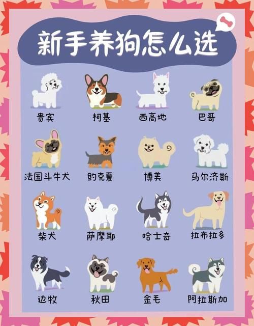君子好逑蚂蚁庄园宠物养成 如何培养最强伙伴