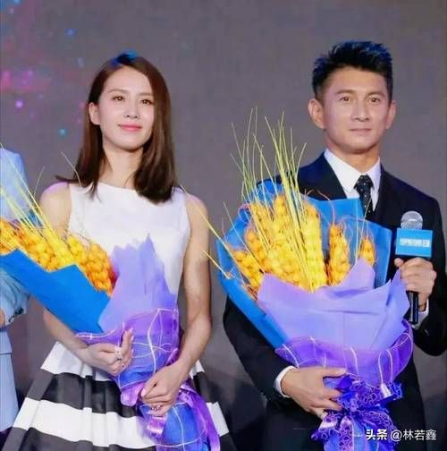 吴奇隆刘诗诗跨年演唱会现场视频流出