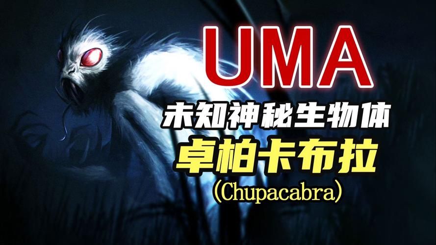 吸血怪兽卓柏卡布拉真实存在还是都市传说揭秘