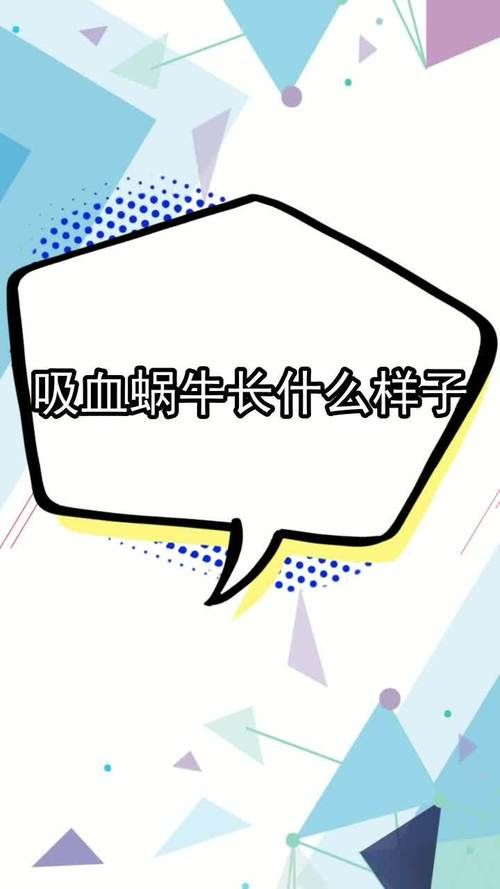 吸血蜗牛长啥样带你认识这种罕见蜗牛的真面目