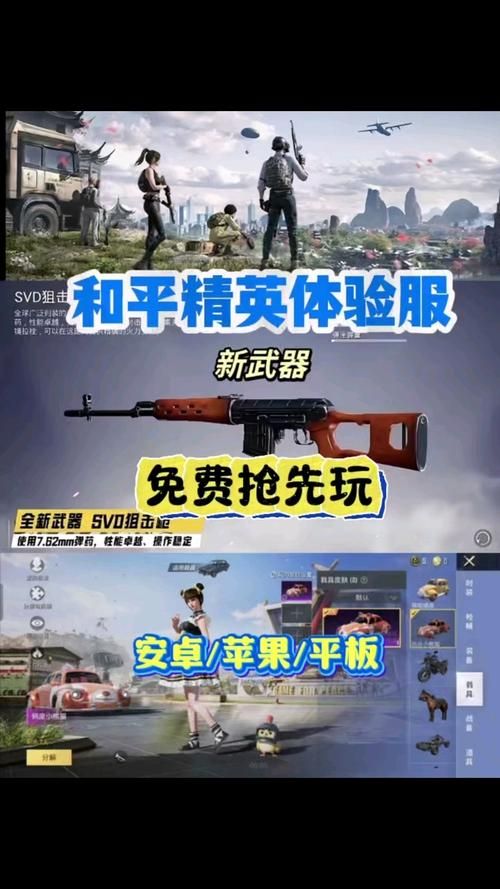 和平精英官网体验服和正式服区别 详细对比分析