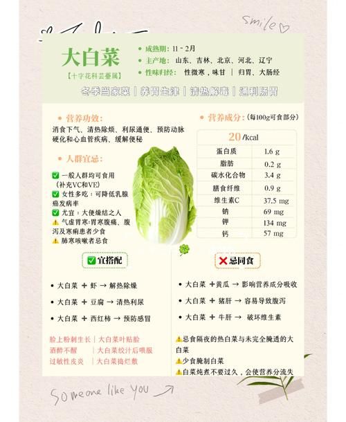 咬春习俗大揭秘 萝卜和白菜哪个更营养