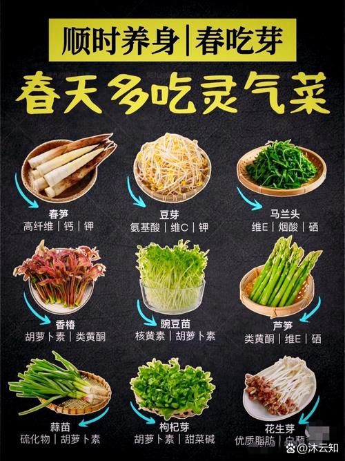 咬春习俗大揭秘 萝卜和白菜哪个更营养