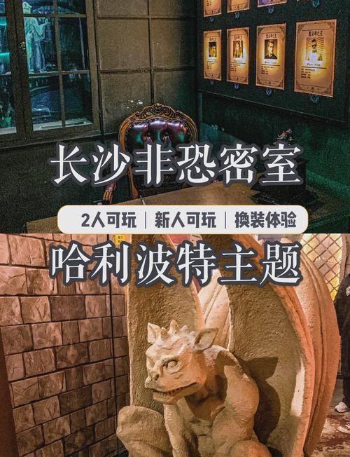 哈利波特与密室秘籍大揭秘 轻松通关必备技巧分享