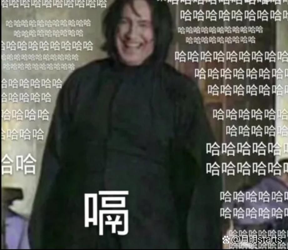哈利波特斯内普谜题揭秘 教授的真实身份到底是什么