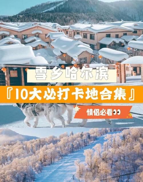 哈尔滨窝窝团购网购物攻略省钱又省心超实用