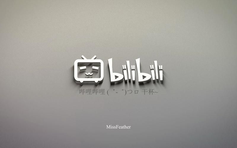 哔哩哔哩bilbi是什么平台 为什么年轻人都在用