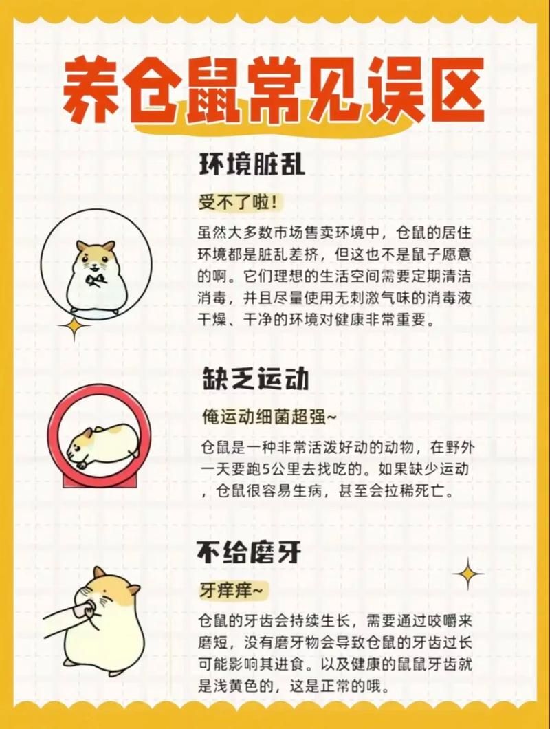 哪个不是铁鼠的技能快来了解一下这些常见误区