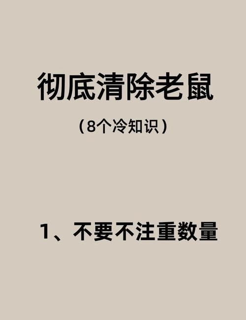 哪个不是铁鼠的技能快来了解一下这些常见误区