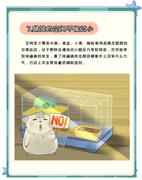 哪个不是铁鼠的技能快来了解一下这些常见误区