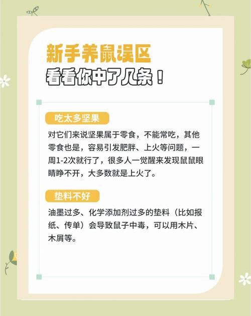 哪个不是铁鼠的技能快来了解一下这些常见误区