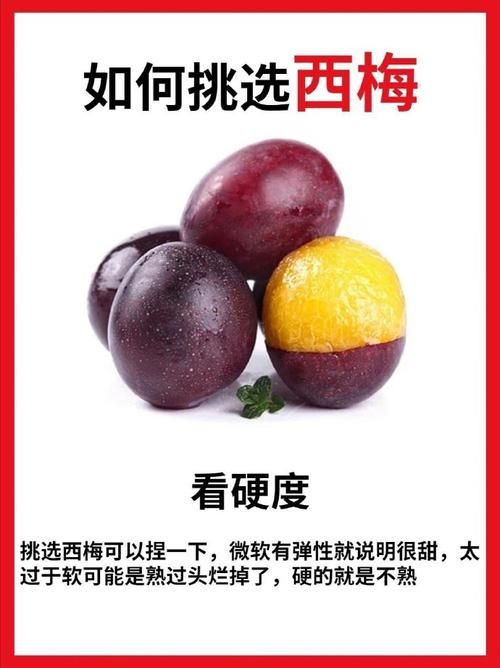 哪种西梅更新鲜度高 新鲜西梅的辨别方法大全