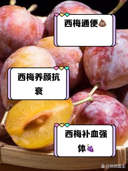 哪种西梅更新鲜度高 新鲜西梅的辨别方法大全