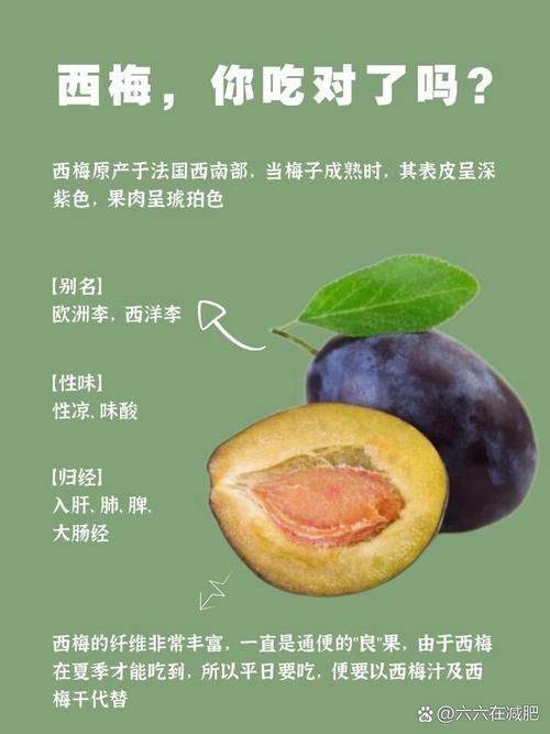 哪种西梅更新鲜度高 新鲜西梅的辨别方法大全