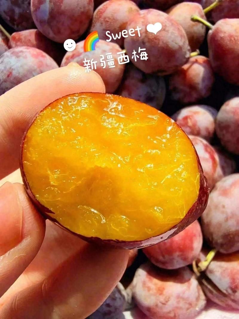 哪种西梅更新鲜度高 新鲜西梅的辨别方法大全