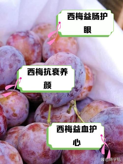 哪种西梅更新鲜度高 新鲜西梅的辨别方法大全