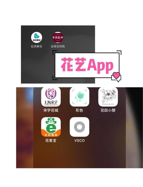 国产花季传媒app怎么样 真实用户体验分享告诉你
