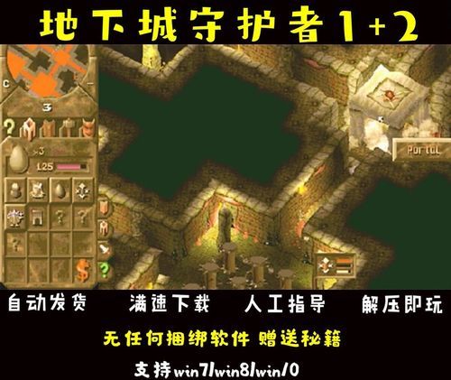 地下城守护者2秘籍攻略 轻松解锁隐藏关卡方法