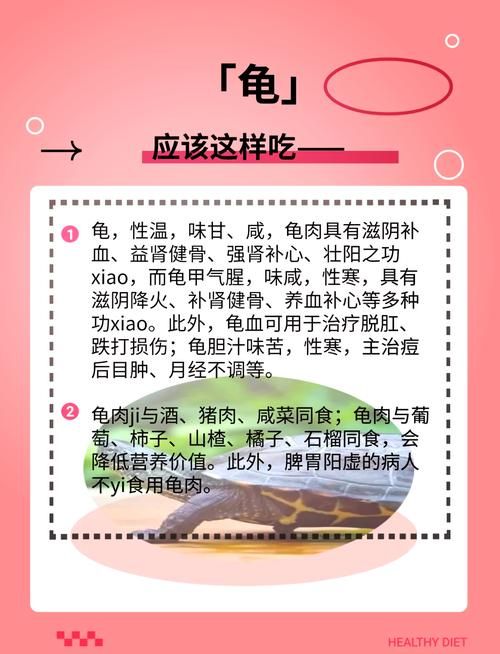 坚硬的龟壳有什么用 乌龟壳的实用功能全知道