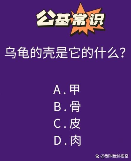 坚硬的龟壳有什么用 乌龟壳的实用功能全知道