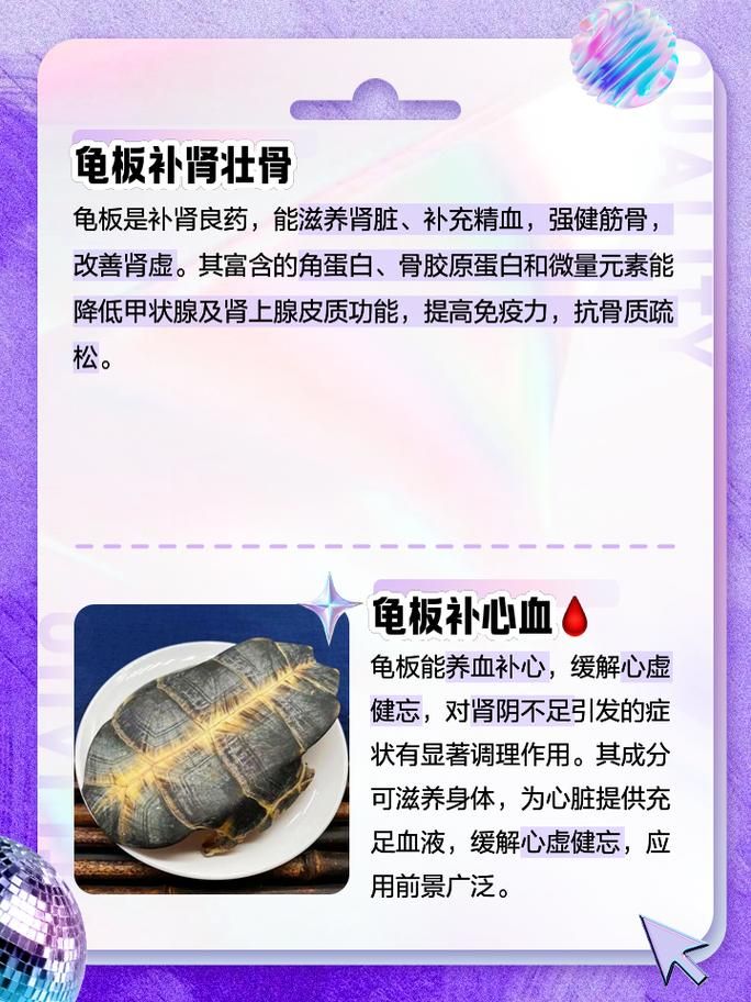 坚硬的龟壳有什么用 乌龟壳的实用功能全知道