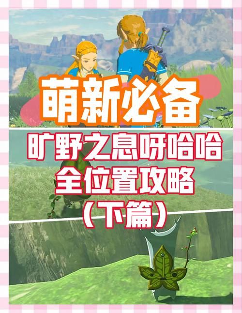 塞尔达灵魂轨迹攻略视频全流程通关实况解说