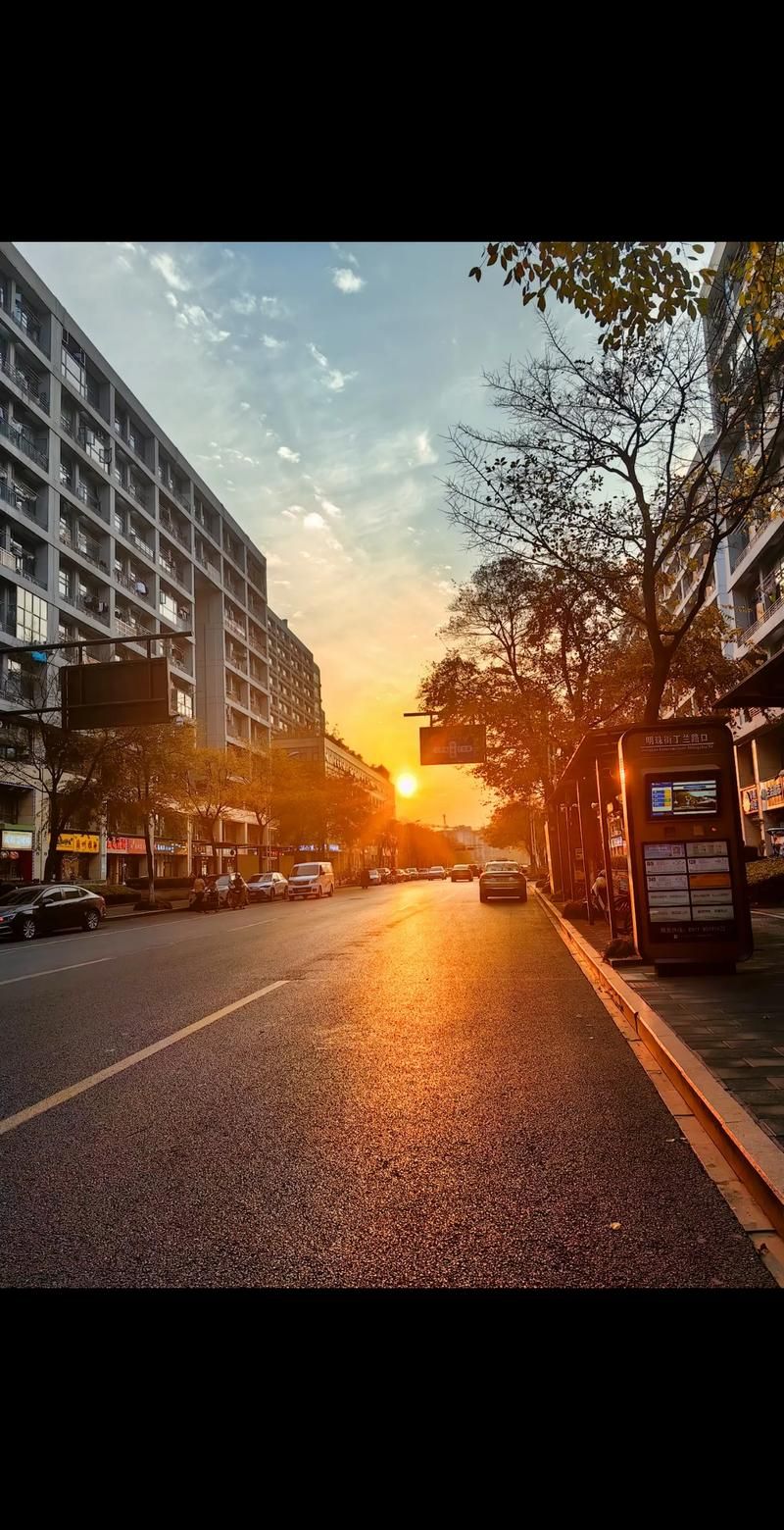 夕阳染红的街道图片下载 高清黄昏美景收藏