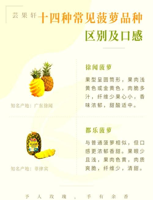 多吃菠萝什么意思梗揭秘这个梗的由来和含义