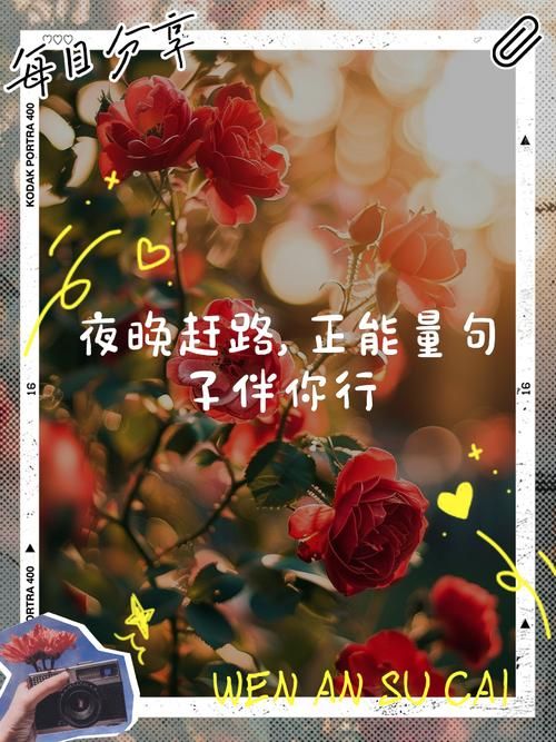 夜间正能量网站入口推荐这几个让你告别负能量