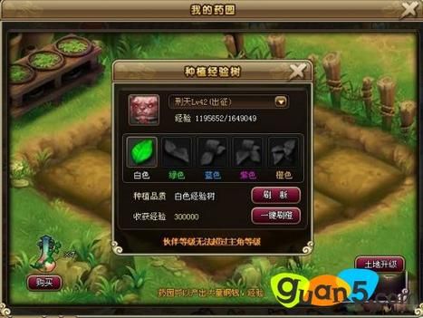 大型回合制网络游戏攻略 新手快速上手技巧分享