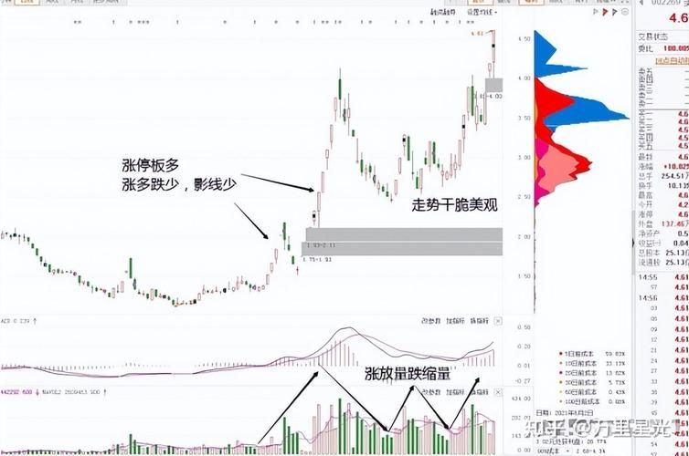 大智慧新一代6.0使用教程 轻松掌握炒股技巧