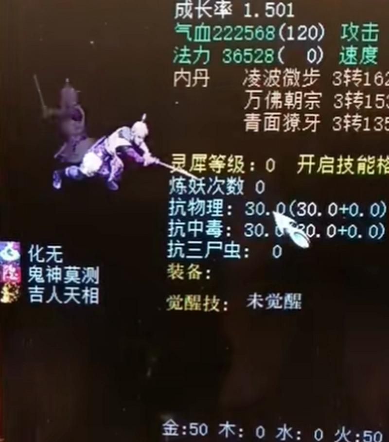大话西游2武尊神宠物搭配 提升战力的最佳选择