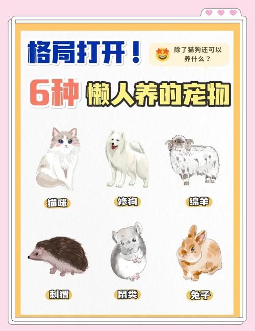 天书奇谈什么宠物好 新手必看宠物选择攻略