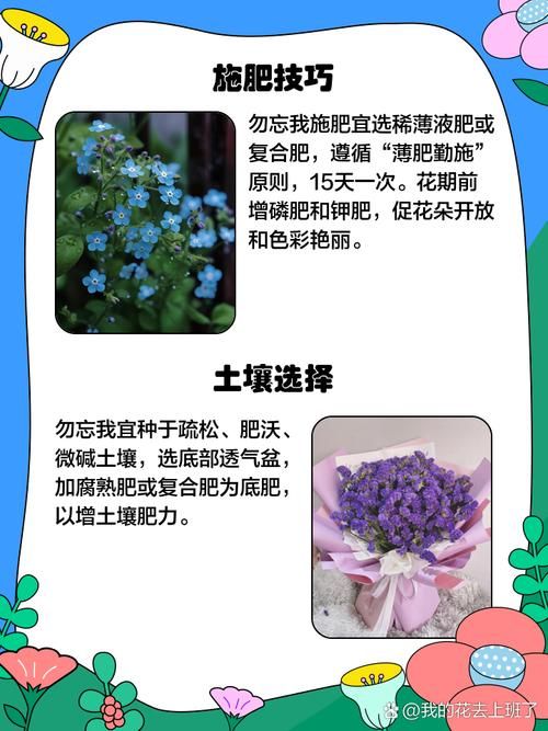 天天5g探花忘忧草种植方法简单易学快来试试
