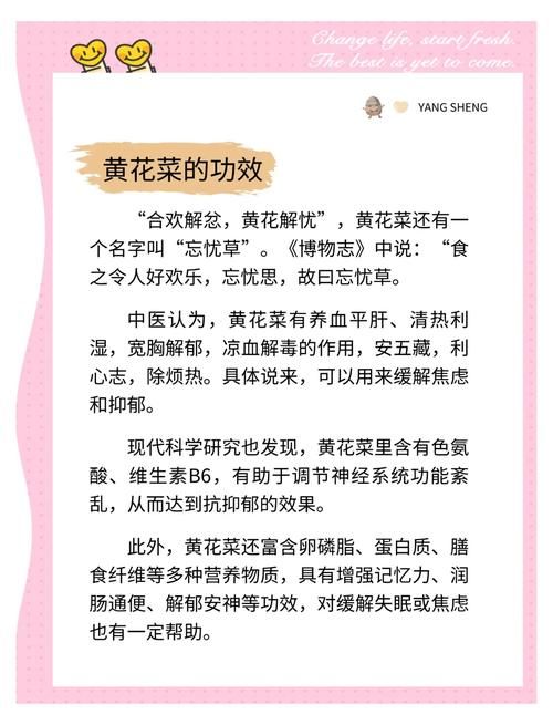 天天5g探花忘忧草种植方法简单易学快来试试