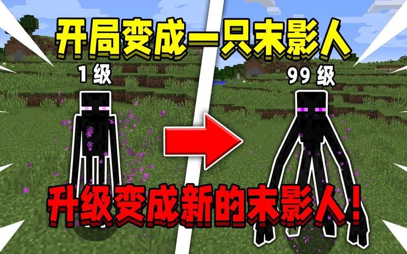 天骐我是一只末影人 末影人的奇妙冒险故事分享
