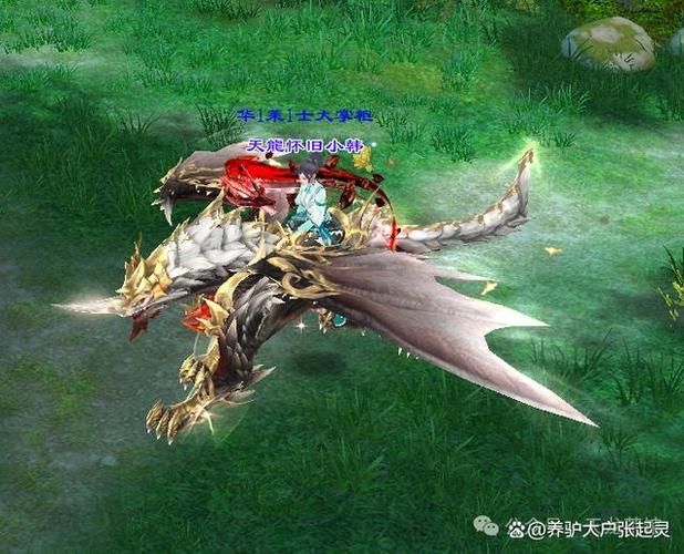 天龙八部坐骑大全 新手必备坐骑选择指南