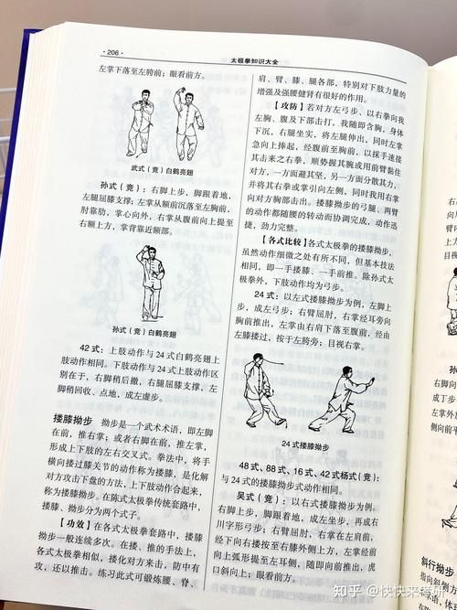 太极大师马保国简介 他的太极哲学与实战技巧解析