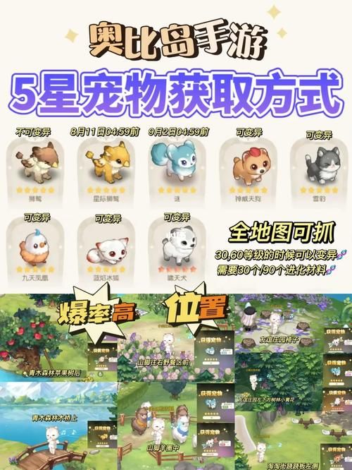 奥比岛宠物怎么获得 稀有宠物捕捉方法大公开