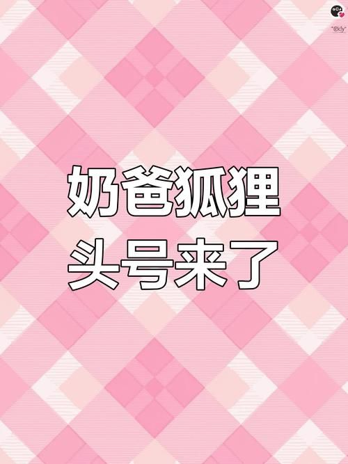 奶爸狐狸头套装具体叫什么名字