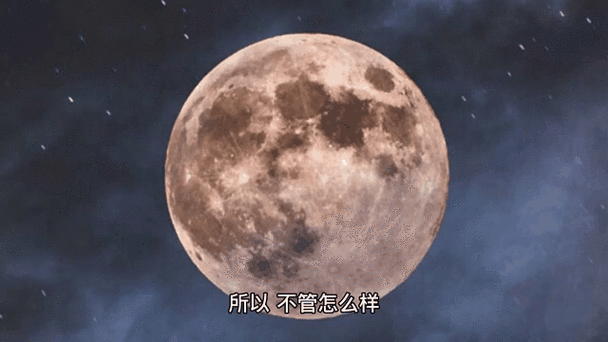 好看的动态手机壁纸合集总有一款你喜欢