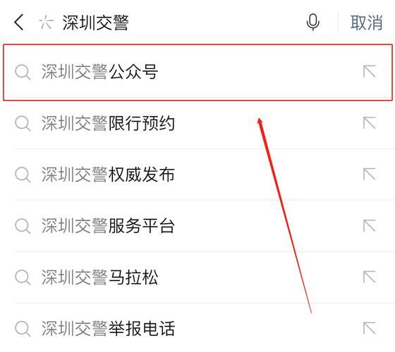 如何在深圳市交警官网查询违章记录详细步骤