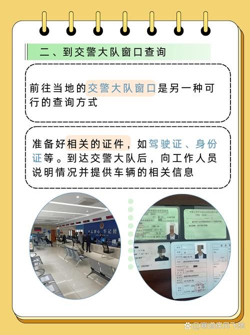 如何在深圳市交警官网查询违章记录详细步骤