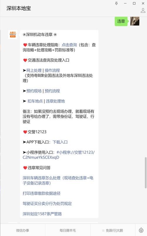 如何在深圳市交警官网查询违章记录详细步骤