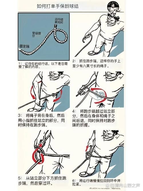如何正确使用forcetame 快速驯服不再难