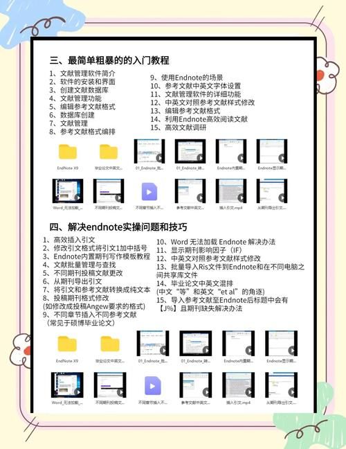如何正确使用www286eee 新手必看教程指南