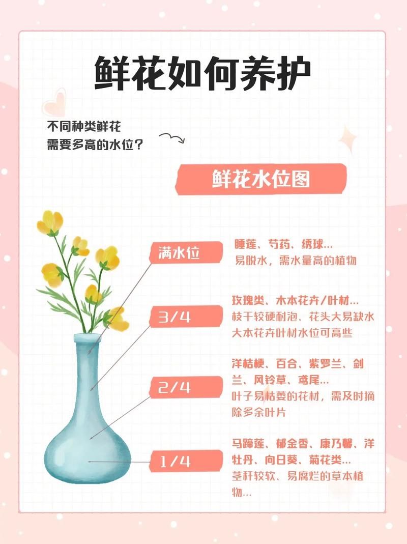 如何正确使用www286eee 新手必看教程指南