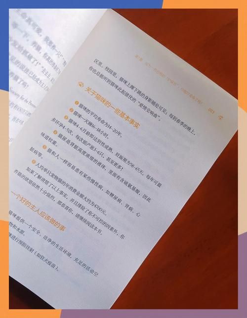 如何正确使用www286eee 新手必看教程指南